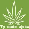 Zdj�cie